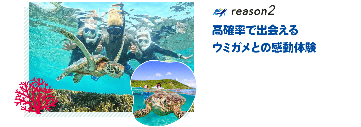 理由2