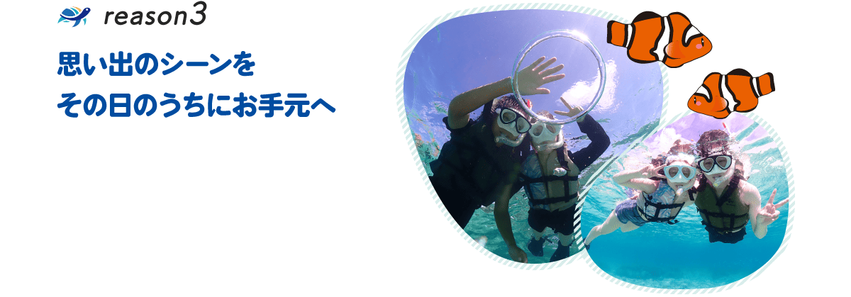理由3