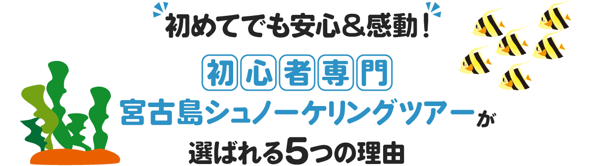 選ばれる理由