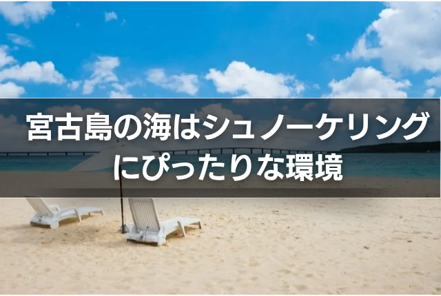宮古島の海はシュノーケリングにぴったりな環境