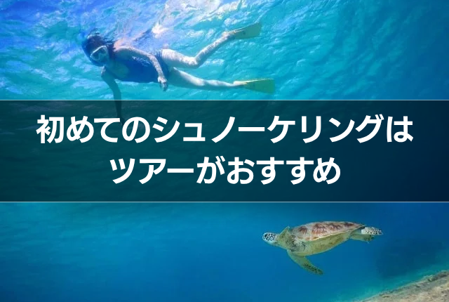 初めてのシュノーケリングはツアーがおすすめ