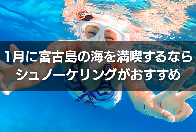 1月に宮古島の海を満喫するならシュノーケリングがおすすめ