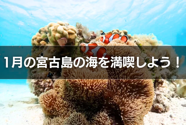 1月の宮古島の海を満喫しよう!