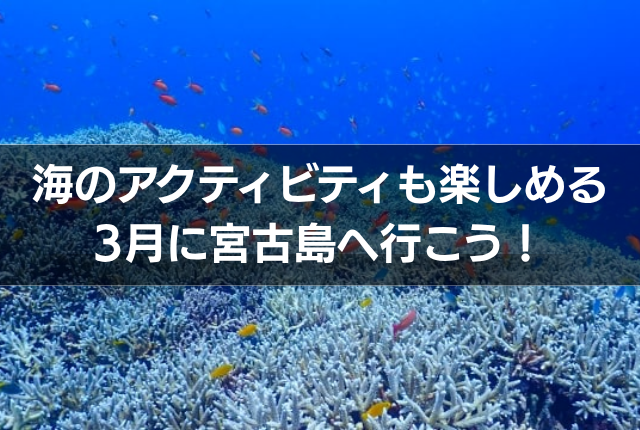 海のアクティビティも楽しめる3月に宮古島へ行こう！