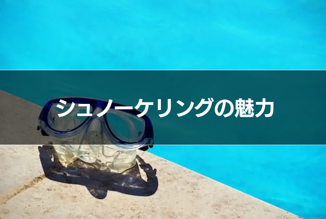 シュノーケリングの魅力