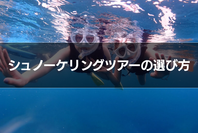 シュノーケリングツアーの選び方