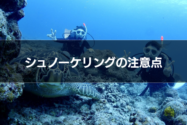 シュノーケリングの注意点
