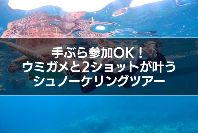 手ぶら参加OK!ウミガメと2ショットが叶うシュノーケリングツアー