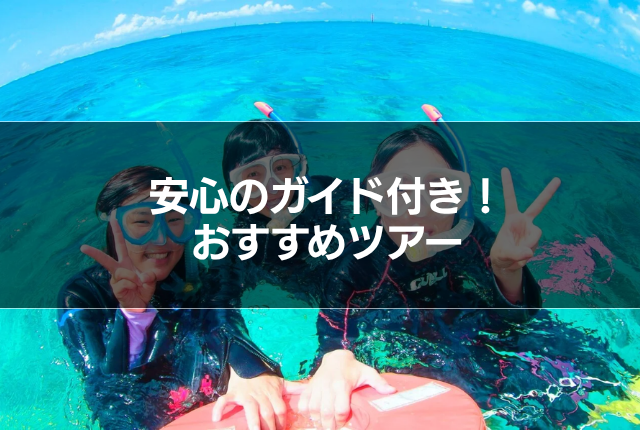 安心のガイド付き!おすすめツアー