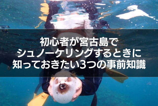 初心者が宮古島でシュノーケリングするときに知っておきたい3つの事前知識