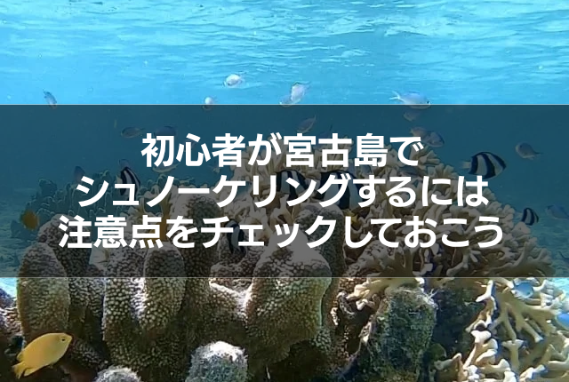 初心者が宮古島でシュノーケリングするには注意点をチェックしておこう