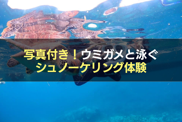 写真付き!ウミガメと泳ぐシュノーケリング体験