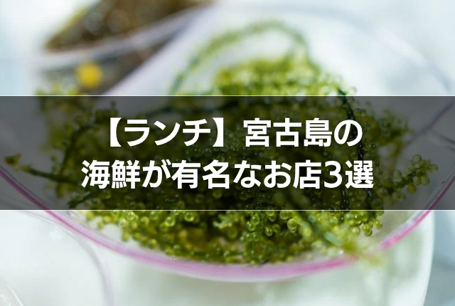 【ランチ】宮古島の海鮮が有名なお店3選