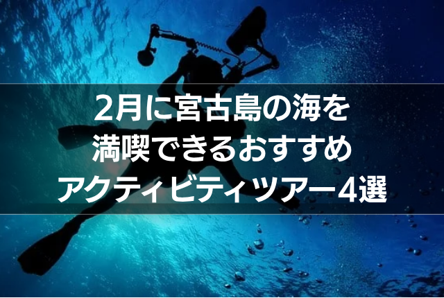 2月に宮古島の海を満喫できるおすすめアクティビティツアー4選