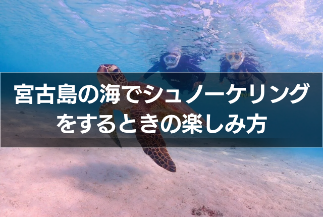 宮古島の海でシュノーケリングをするときの楽しみ方