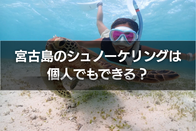 宮古島のシュノーケリングは個人でもできる?
