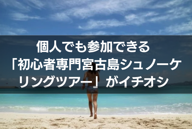 個人でも参加できる「初心者専門宮古島シュノーケリングツアー」がイチオシ
