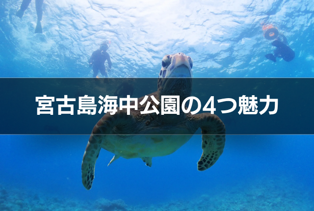 宮古島海中公園の4つ魅力