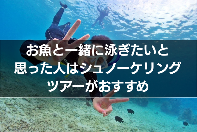 お魚と一緒に泳ぎたいと思った人はシュノーケリングツアーがおすすめ