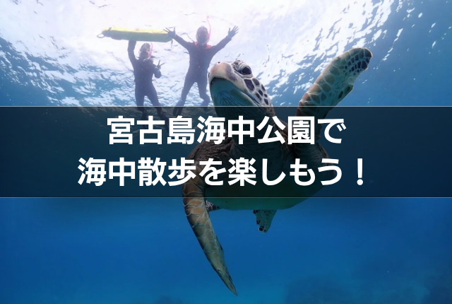 宮古島海中公園で海中散歩を楽しもう！