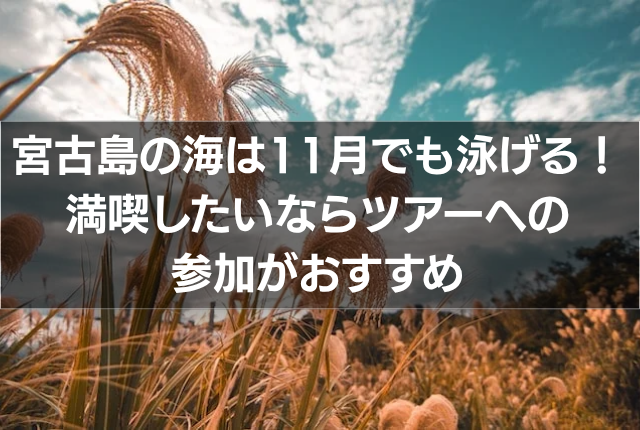 宮古島の海は11月でも泳げる!満喫したいならツアーへの参加がおすすめ