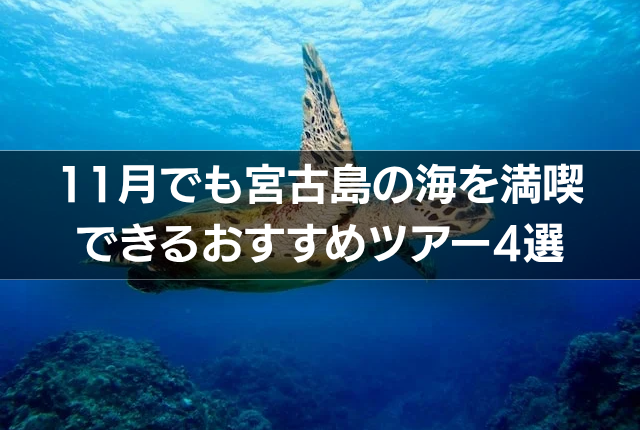 11月でも宮古島の海を満喫できるおすすめツアー4選