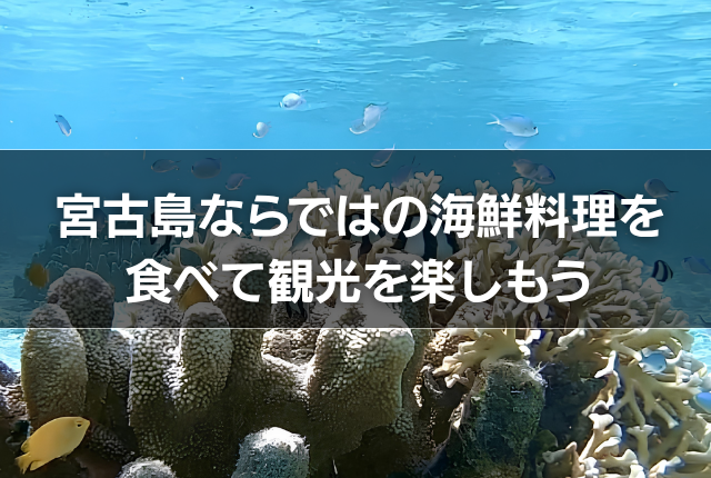 宮古島ならではの海鮮料理を食べて観光を楽しもう
