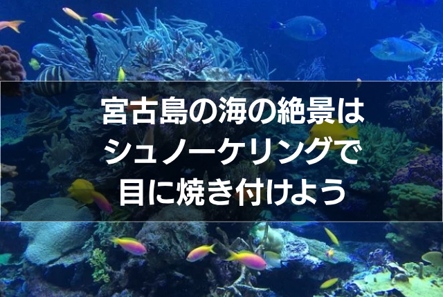宮古島の海の絶景はシュノーケリングで目に焼き付けよう
