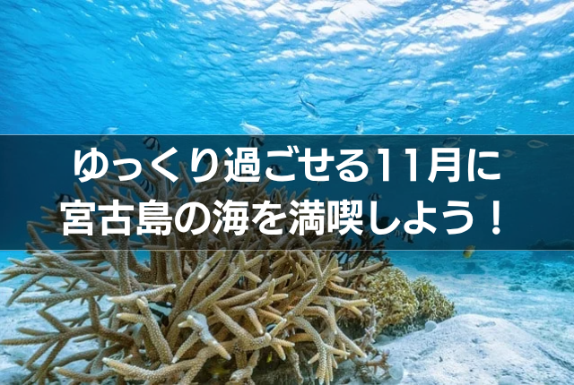 ゆっくり過ごせる11月に宮古島の海を満喫しよう!