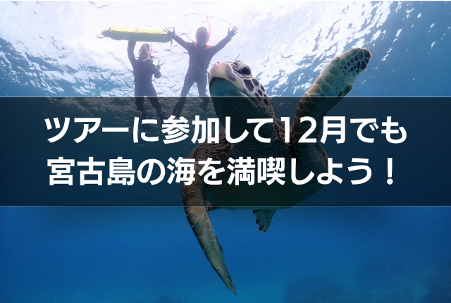 ツアーに参加して12月でも宮古島の海を満喫しよう!