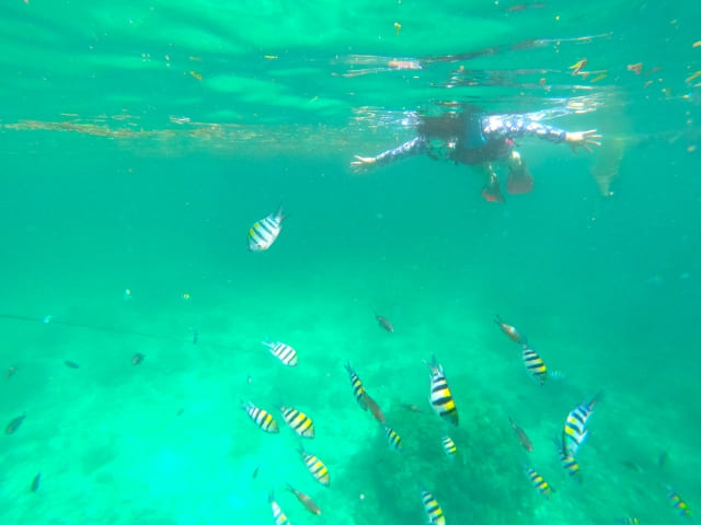 how-to-do-snorkeling-02