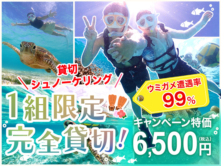 【1組限定・完全貸切】ウミガメ大接近シュノーケリングツアー｜シャワー・着替えもできるから観光前後のスケジュールも安心